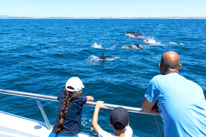 Dolphin Watching and Cave Boat Cruise from Albufeira - Dolphin watching along the Algarve: your chances and how to spot a pod faster