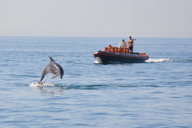 Dolphin Watching and Cave Tour from Vilamoura - Quick hits before you go