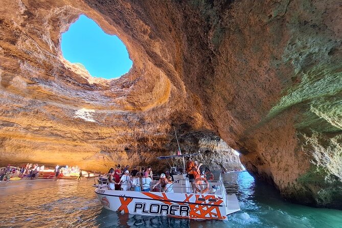 Dolphin Watching and Caves Cruise - Key highlights to look for