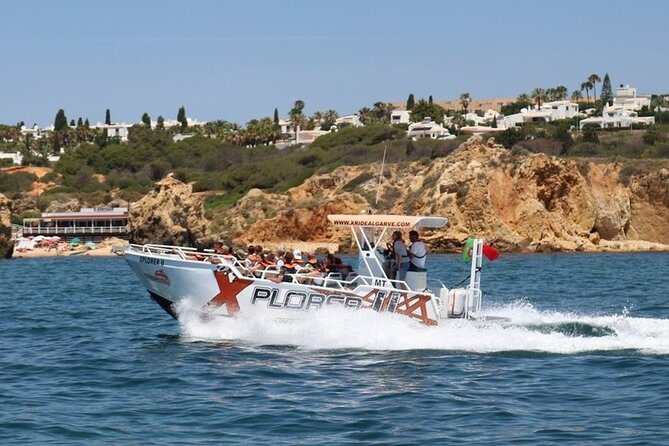 Dolphin Watching and Caves Cruise - Why this Albufeira dolphin and Benagil cruise feels worth the money