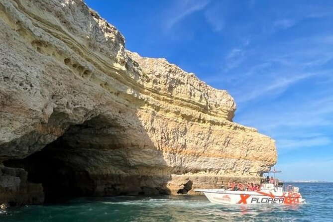 Dolphin Watching and Caves Cruise - Weather and Sea Conditions: The One Thing That Can Change Everything