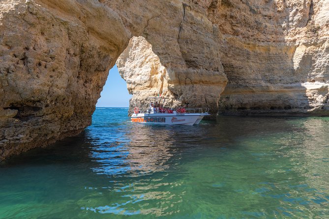 Dolphin Watching and Caves Cruise - Who This Dolphin + Caves Cruise Is Best For