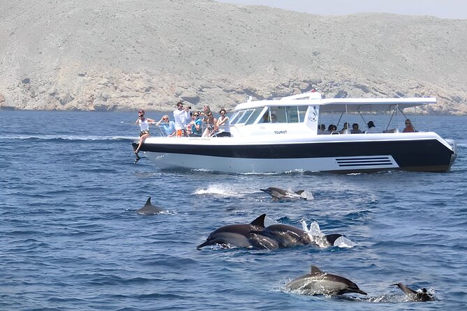 Dolphin Watching and Snorkeling Activity in Muscat - Key things worth knowing before you go