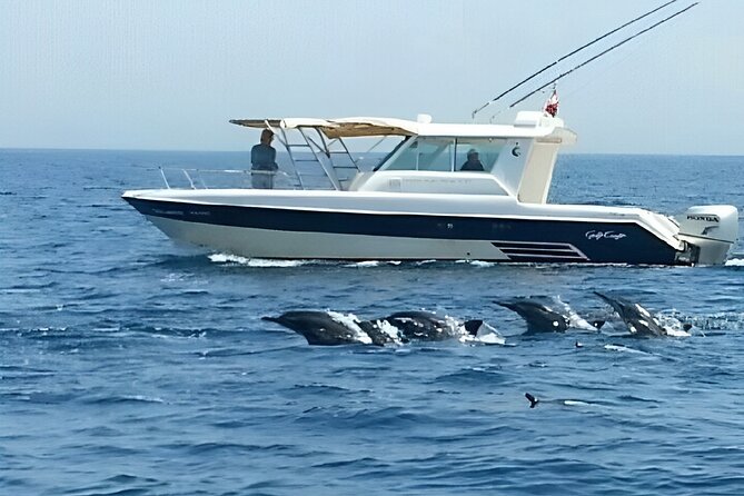 Dolphin Watching and Snorkeling Activity in Muscat - Price and Value: Is $75 Worth It?