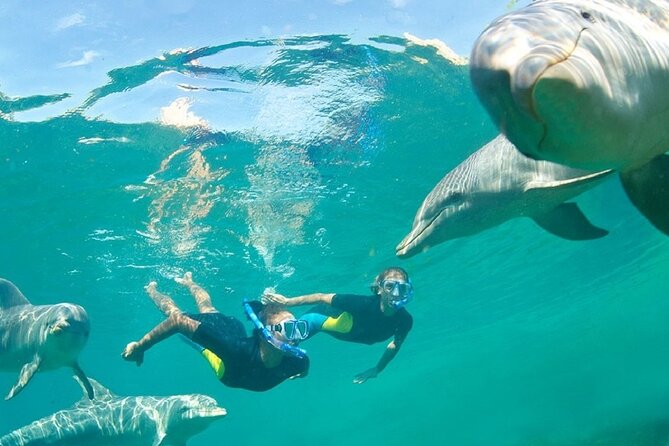 Dolphin Watching and Snorkeling Activity in Muscat - Timing Reality: Why the 3 Hours Can Feel Short