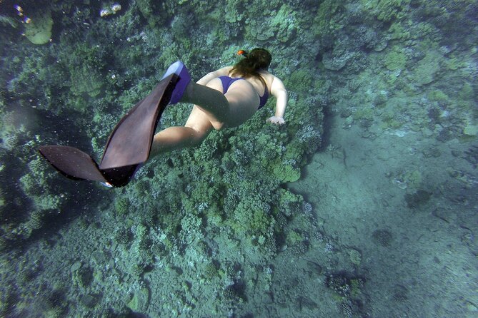 Dolphin Watching and Snorkeling Adventure in Key West - Seabreeze Powercat: What the Boat Feels Like