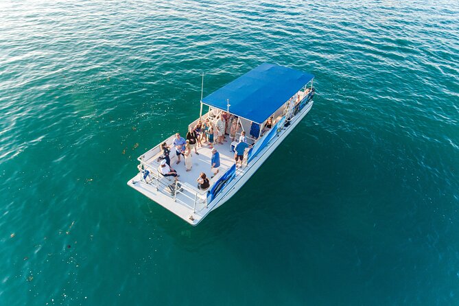 Dolphin Watching and Snorkeling Adventure in Key West - Crew Names You’ll Hear, and Why Their Style Matters