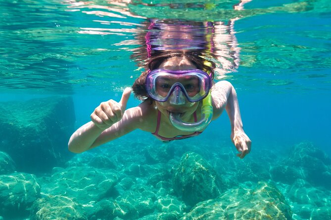 Dolphin Watching and Snorkeling in Figarolo in Sardinia - Cala Greca and Cala Moresca: Snorkeling Stops With a Short, Good Pace