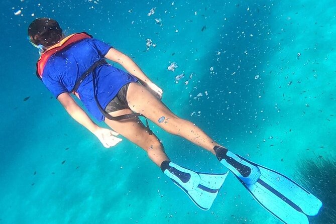 Dolphin Watching and Snorkeling in Figarolo in Sardinia - Figarolo Island Time: Where the Views and Water Both Deliver