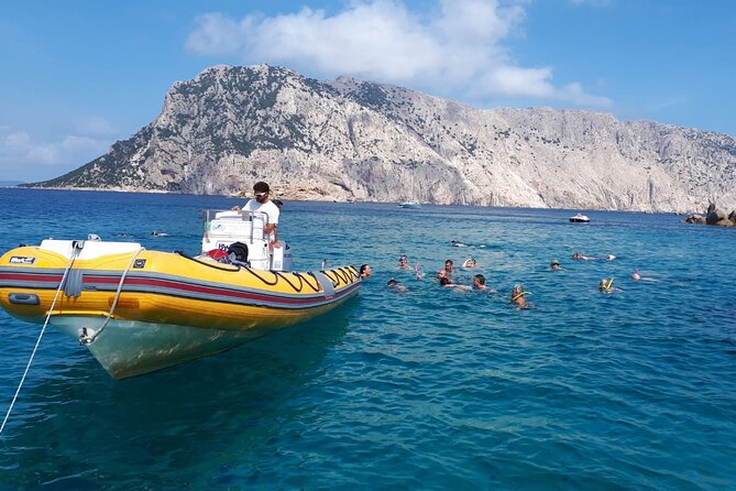 Dolphin Watching and Snorkeling in Figarolo in Sardinia - Guides, Dolphin Etiquette, and the Info You Actually Use