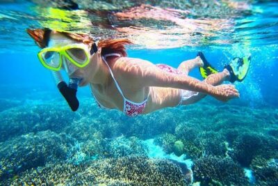 Dolphin Watching and Snorkeling Tour from Muscat - Dolphin watching: what you’re looking for and what the captain does