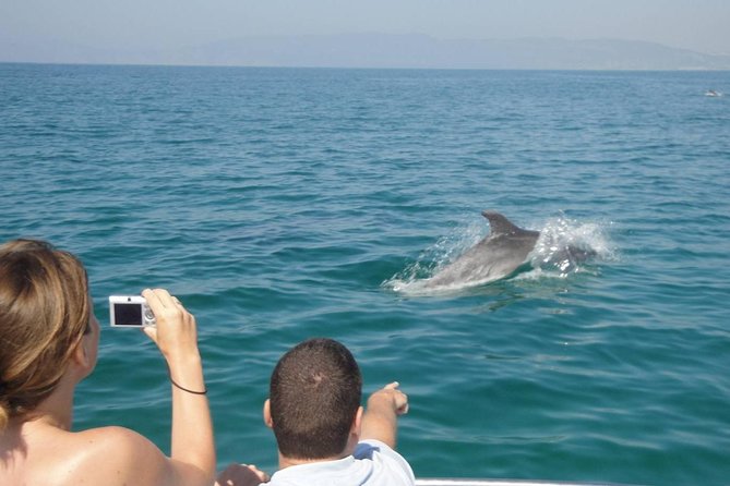 Dolphin Watching and Snorkeling Tour from Muscat - Who this tour suits best (and who should think twice)