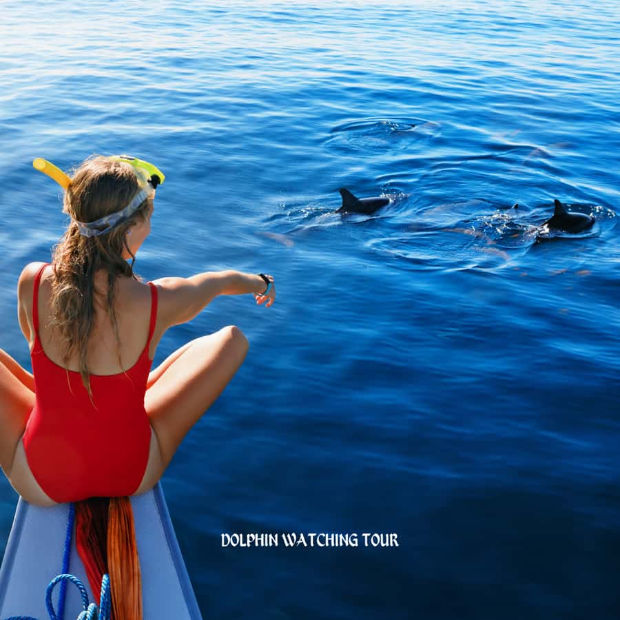 Dolphin Watching and Snorkeling Tour with Hotel Transfers - Snorkeling Time in the Gulf: Clear Water, Easy-Going Fun