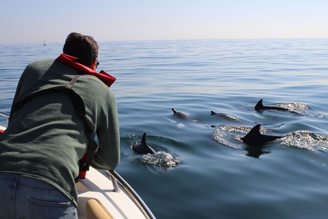 Dolphin watching and wildlife from Faro - Key things I’d zero in on