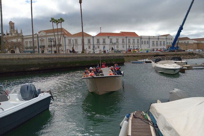 Dolphin watching and wildlife from Faro - Where the tour ends: back to the same place, no stress
