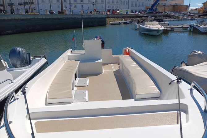 Dolphin watching and wildlife from Faro - Price and value: is $57.32 worth it?