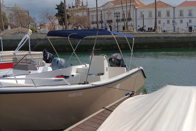 Dolphin watching and wildlife from Faro - Practical tips so your morning goes smoothly