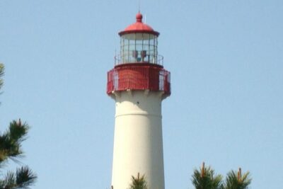 Dolphin Watching around Cape May - The boat setup: up to 200 people and a comfort-first crew