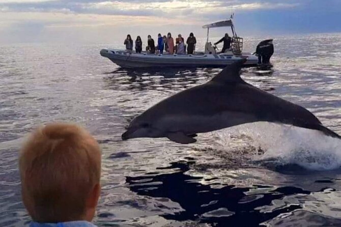 Dolphin Watching at Dawn in Alcúdia - Es Coll Baix: a short swim/snorkel break with clear-water appeal