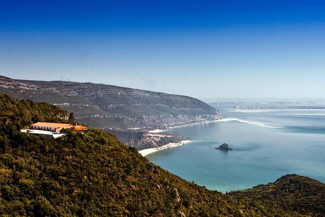 Dolphin Watching at the Arrabida (Lisbon region) - Key things to know before you go