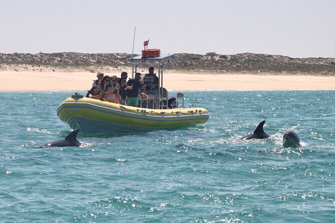 Dolphin Watching at the Arrabida (Lisbon region) - Getting there from Lisbon to Sesimbra: meeting point and timing that make sense