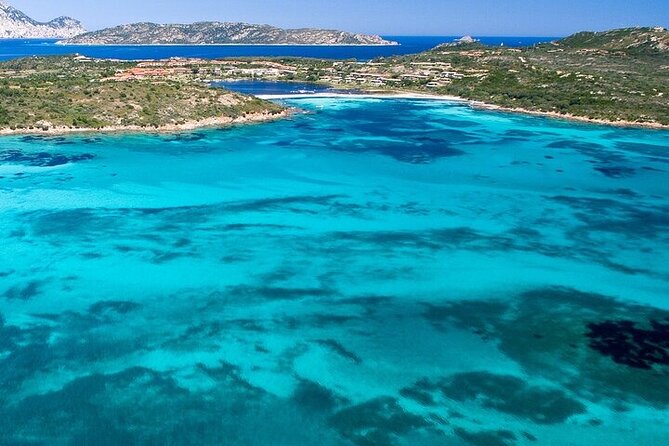 Dolphin Watching Boat Excursion to Figarolo Island from Olbia - Small-boat comfort, marine-biologist guidance, and the skipper’s track record