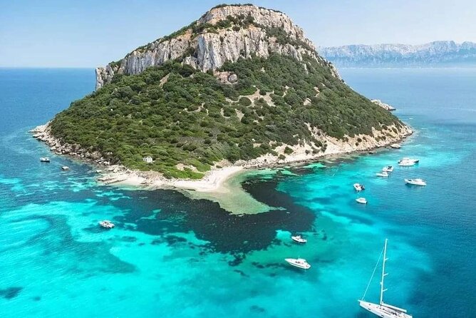 Dolphin Watching Boat Excursion to Figarolo Island from Olbia - Snorkelling gear, fish spotting, and what to bring for comfort