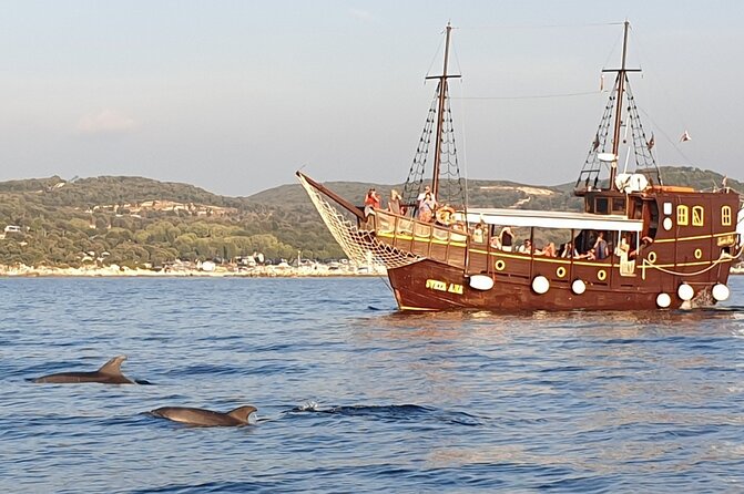 Dolphin Watching Boat Trip around Vrsar - Drinks Included for 18+: The Real Value Angle