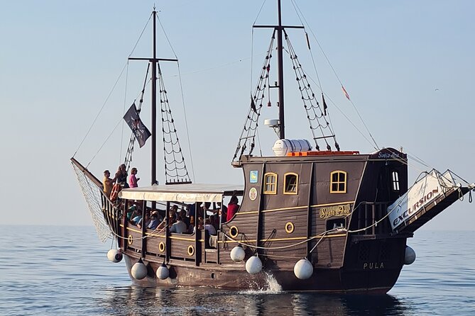 Dolphin Watching Boat Trip around Vrsar - The Dolphin Search: What You Can Really Expect