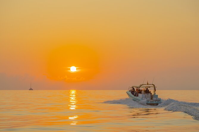 Dolphin watching by boat - What’s Included (and What You Should Bring)