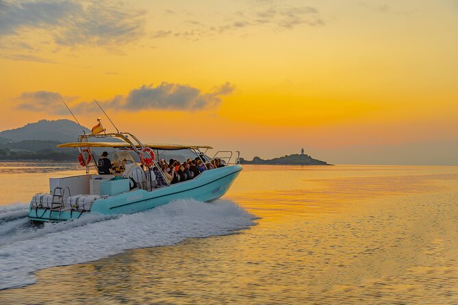 Dolphin watching by boat - Should You Book My Sea Experience Dolphin Watching?