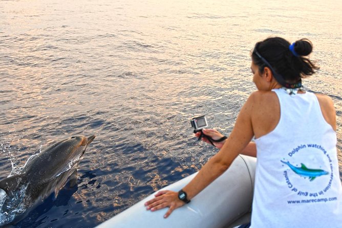 Dolphin Watching & Conservation - Dolphins in the Gulf of Catania - Quick hits for your dolphin day