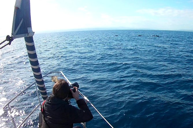 Dolphin Watching & Conservation - Dolphins in the Gulf of Catania - The route and stops: what each place adds to the experience