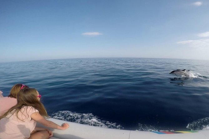 Dolphin Watching & Conservation - Dolphins in the Gulf of Catania - Equipment and comfort: binoculars, open decks, and small practical tips