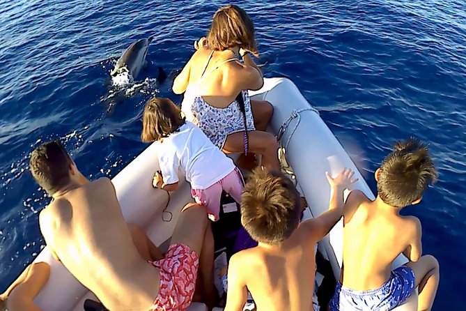 Dolphin Watching & Conservation - Dolphins in the Gulf of Catania - Value for $84.48: what you’re really paying for