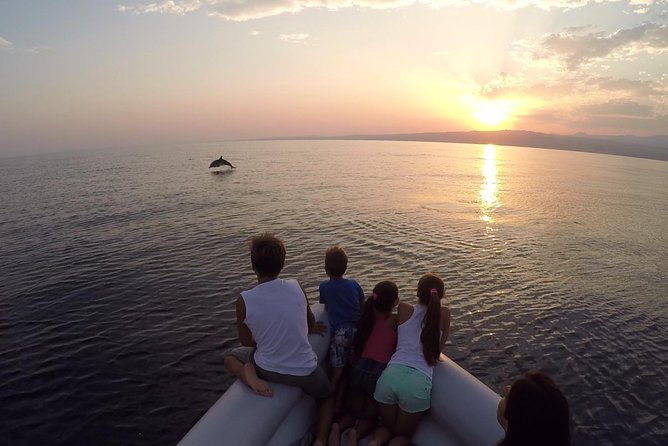 Dolphin Watching & Conservation - Dolphins in the Gulf of Catania - Meet the marine biologist: you’re not just a passenger