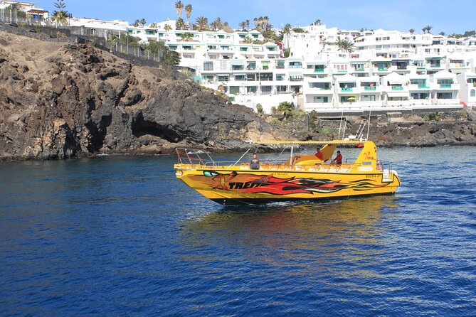 Dolphin Watching Cruise to Lobos Island - Why Isla de Lobos is worth the trip, even if dolphins don’t show
