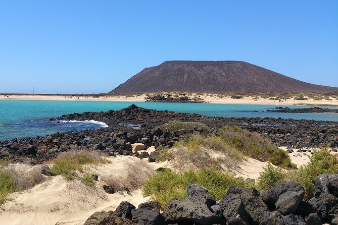 Dolphin Watching Cruise to Lobos Island - Weather and the day’s mood: heat warnings and wildlife timing