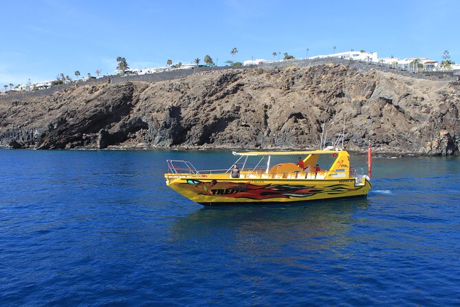 Dolphin Watching Cruise to Lobos Island - Anchoring near Lobos: swimming and snorkeling without the island-hike expectation
