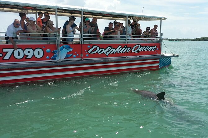 Dolphin Watching/Eco Cruise, John's Pass, Madeira Bch, FL - Key points before you book