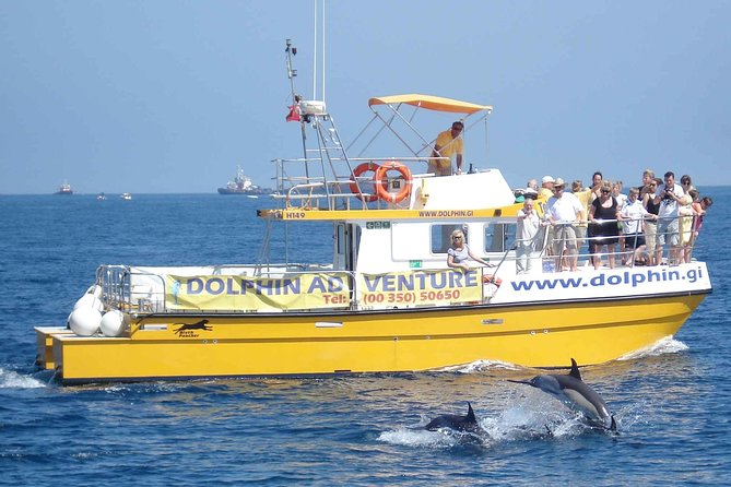 Dolphin Watching Excursion in Gibraltar - Admiral’s Walk Meeting Point: what “easy access” really means