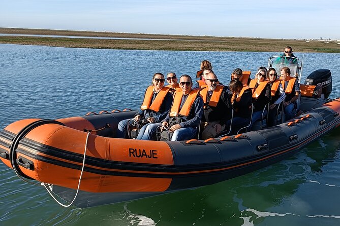 Dolphin Watching from Faro - Key Highlights at a Glance