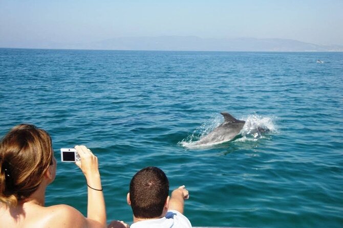 Dolphin Watching from Faro - Ilha da Culatra and the Island-Stop Bonus