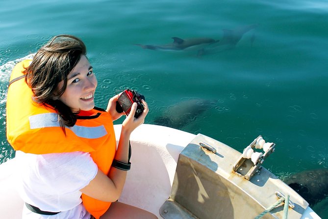 Dolphin Watching from Fuzeta - Key Things You’ll Notice on This Dolphin Cruise