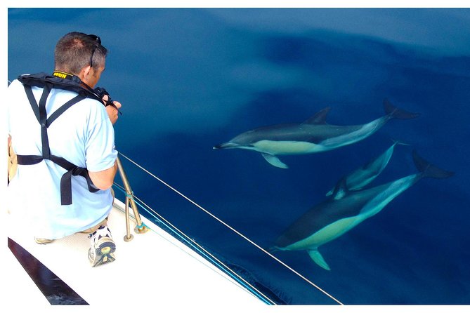 Dolphin Watching from Fuzeta - What You’re Actually Paying For: Boat Time, Skipper, and Safety