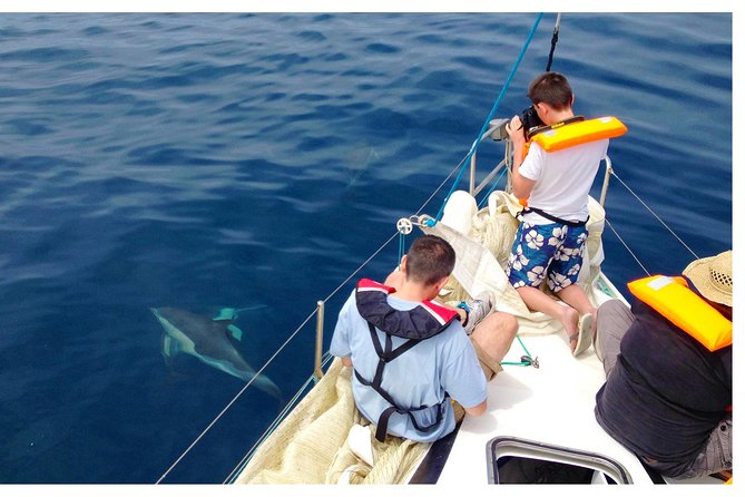 Dolphin Watching from Fuzeta - Crew and Communication: When Guides Make the Difference