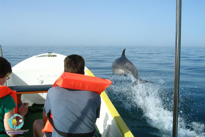Dolphin Watching from Fuzeta - Lunch Isn’t Included: Plan Your Day Like an Algarve Local