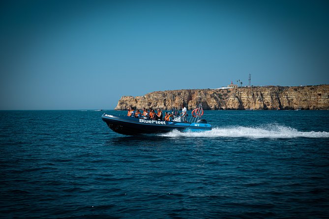 Dolphin Watching from Lagos with Marine Biologists - The close encounter factor (and what to expect when pods appear)