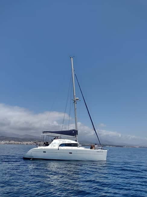 Dolphin watching in Estepona - Dolphin watching from Estepona: why this 2-hour format works