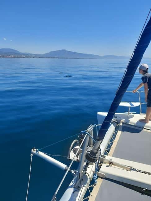 Dolphin watching in Estepona - Price and value: is $47 per person reasonable?